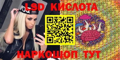 не бодяженный Гатчина