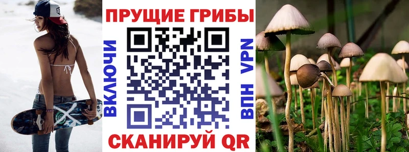 Галлюциногенные грибы мицелий  Алушта 