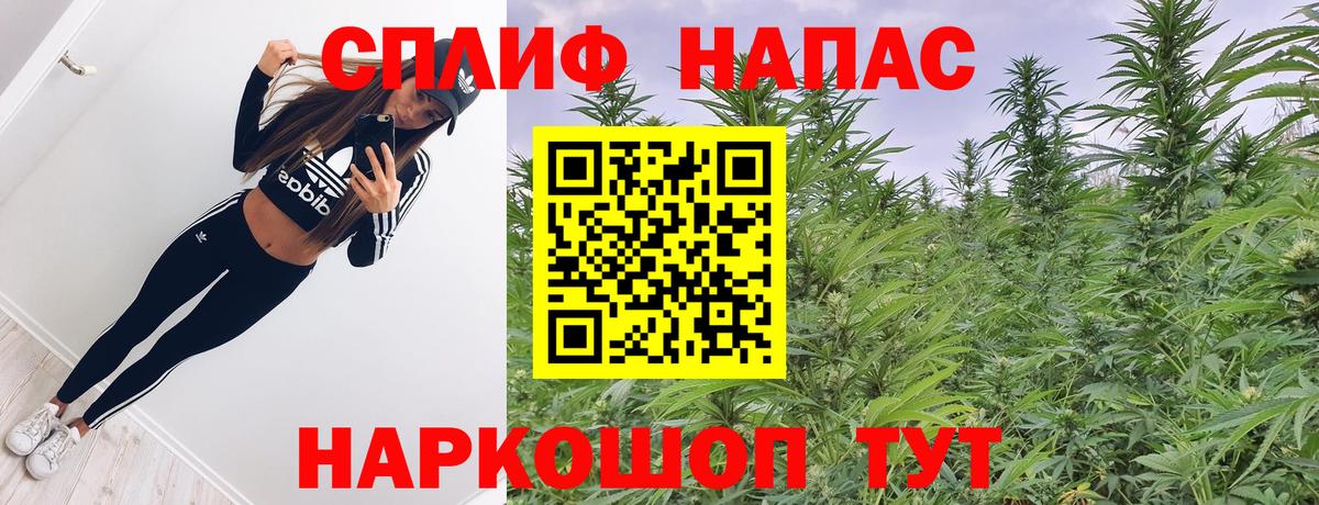 Шишки марихуана конопля  МАРИХУАНА THC 21%  Вход с VPN  Шишки марихуана ГИДРОПОН  Алушта 